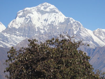Annapurna Base Camp Trek in May