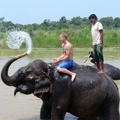 Jungle Safari In Nepal Picture