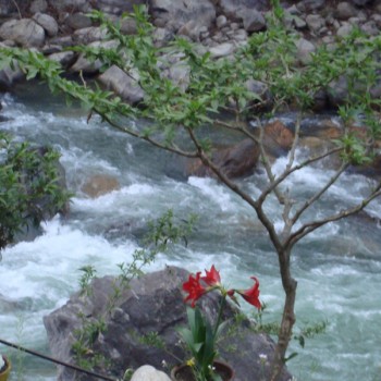 Annapurna Base Camp Trek: Beautiful Modi River