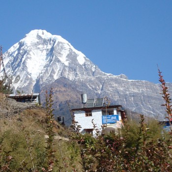 Trekking Annapurna Base Camp: Amazing Annapurna South view from Chhumrong