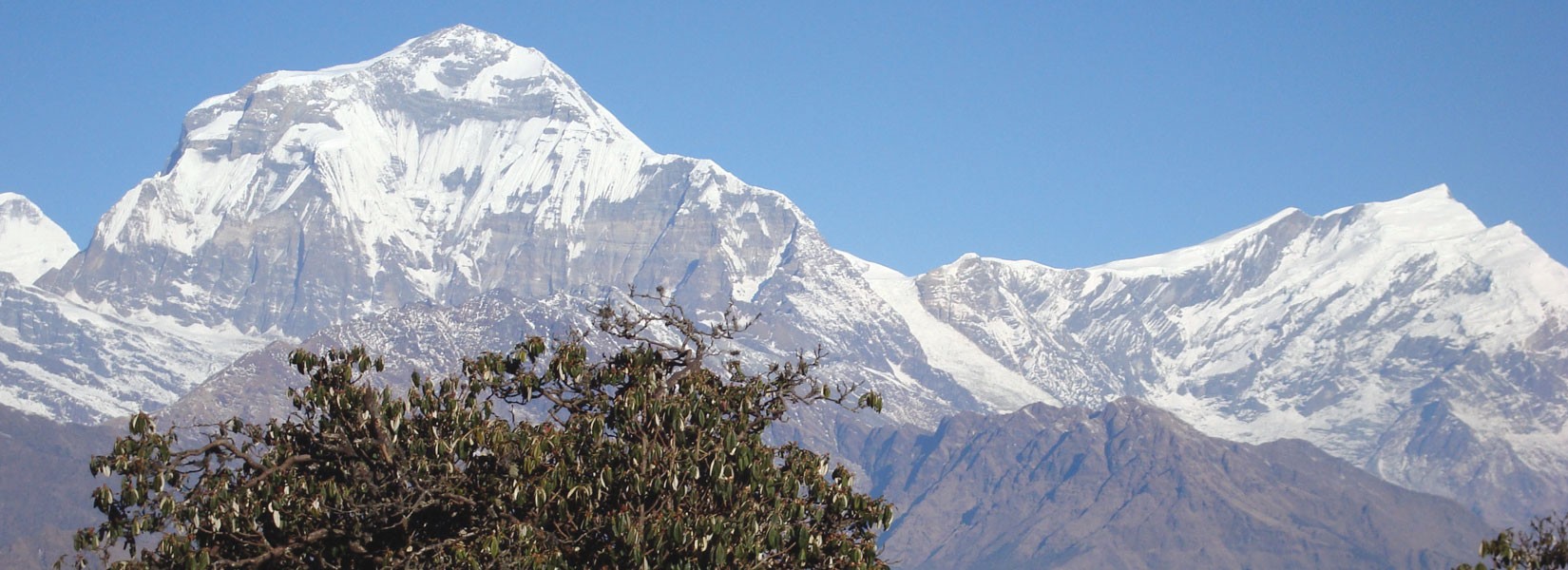 Annapurna Base Camp Trek in May