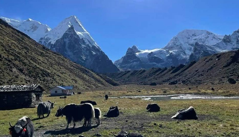 Kanchenjunga Base Camp Trek