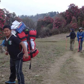 Annapurna Panorama Trek