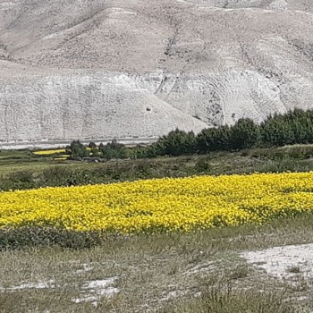 Upper Mustang Trek: Chhoser village