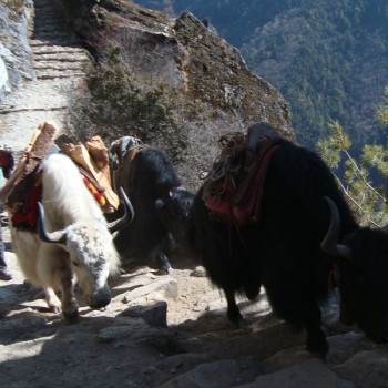 Everest Base Camp Trek Good Hauler