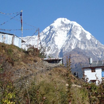 Ghorepani Poon Hill Trek