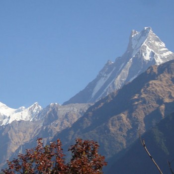 Khopra Danda Trek- Fish-tail view from Tadapani