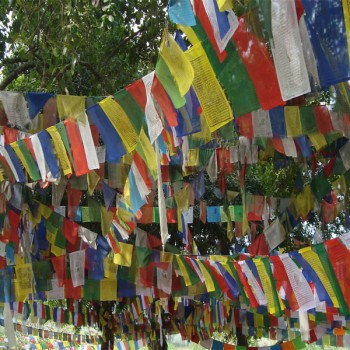 Colorful Buddhist Flag Birthplace of Lumbini