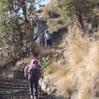 Mardi Himal Trek