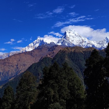 Khopra Danda Trek- Annapurna South view from Tadapani