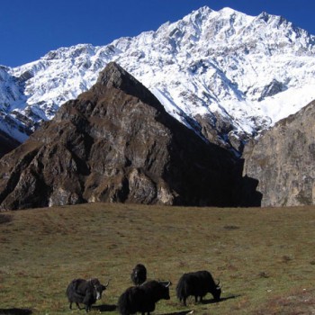 Nar Phu Valley Trek